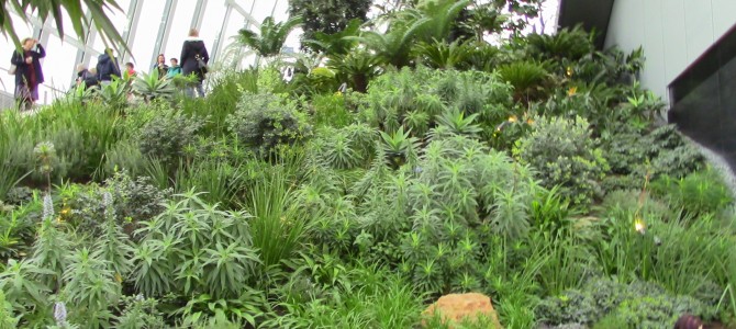 <center>“Sky Garden?” Maybe more<center> like “Sky Small Section of<center> Overgrown Shrubbery.”